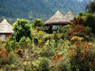 Baliem Valley Resort Wamena Екстер'єр фото